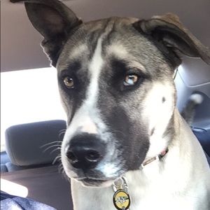 Meet your Posher, Eric